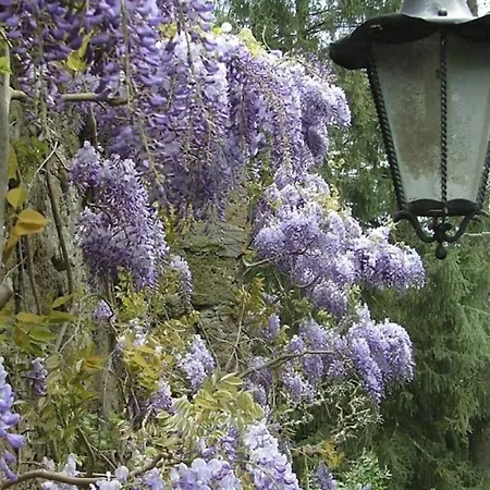 Osteriola Sleeps 2 Pool Wifi T763076 Apartment