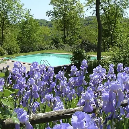 Apartment Osteriola Sleeps 2 Pool Wifi T763076 Proceno
